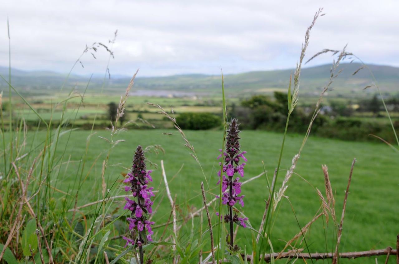 Short Strand Dingle Emlagh East Exterior photo